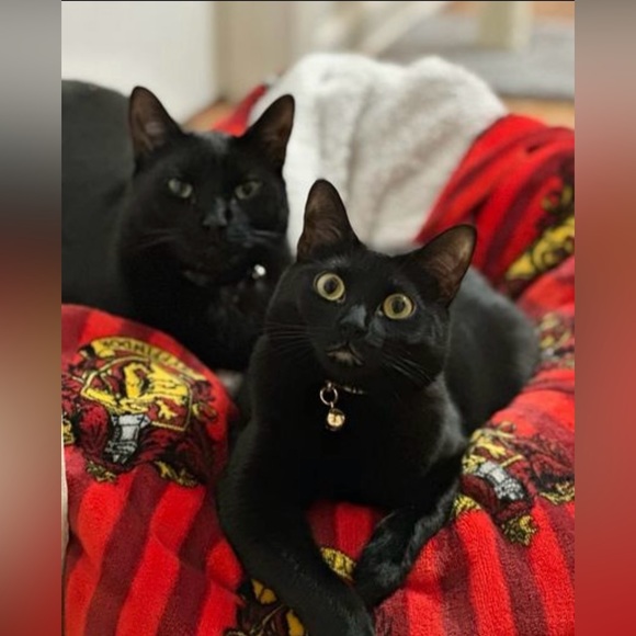 Meet your Posher, Karema - Picture 3 of 3